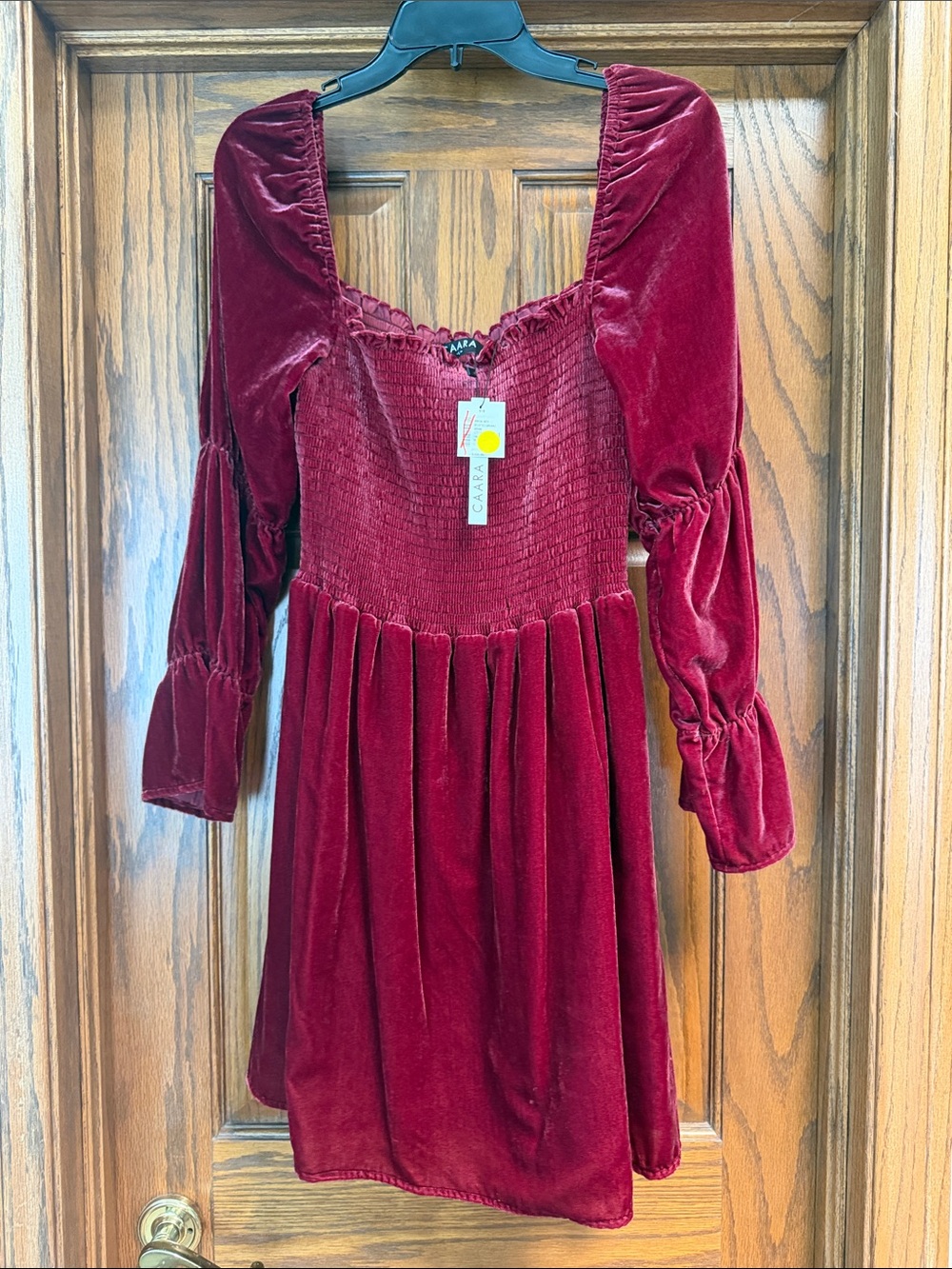 Velvet Long-Sleeve Mini Dress in Deep Red